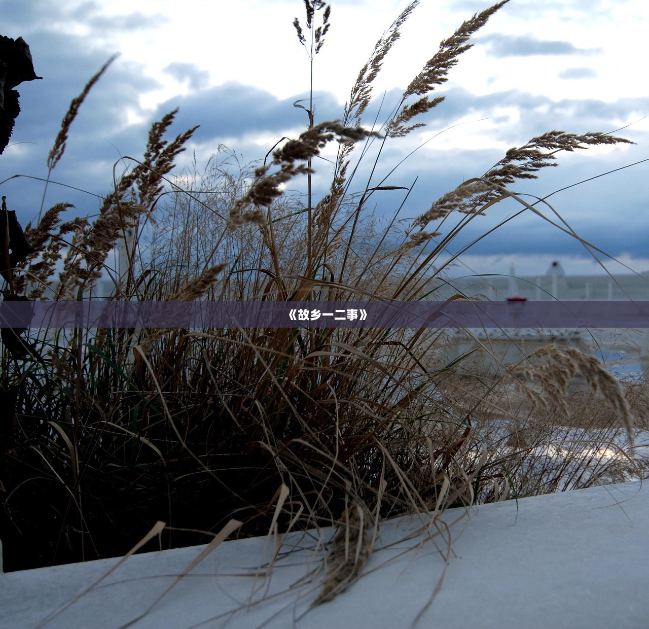 《故乡一二事》  第1张