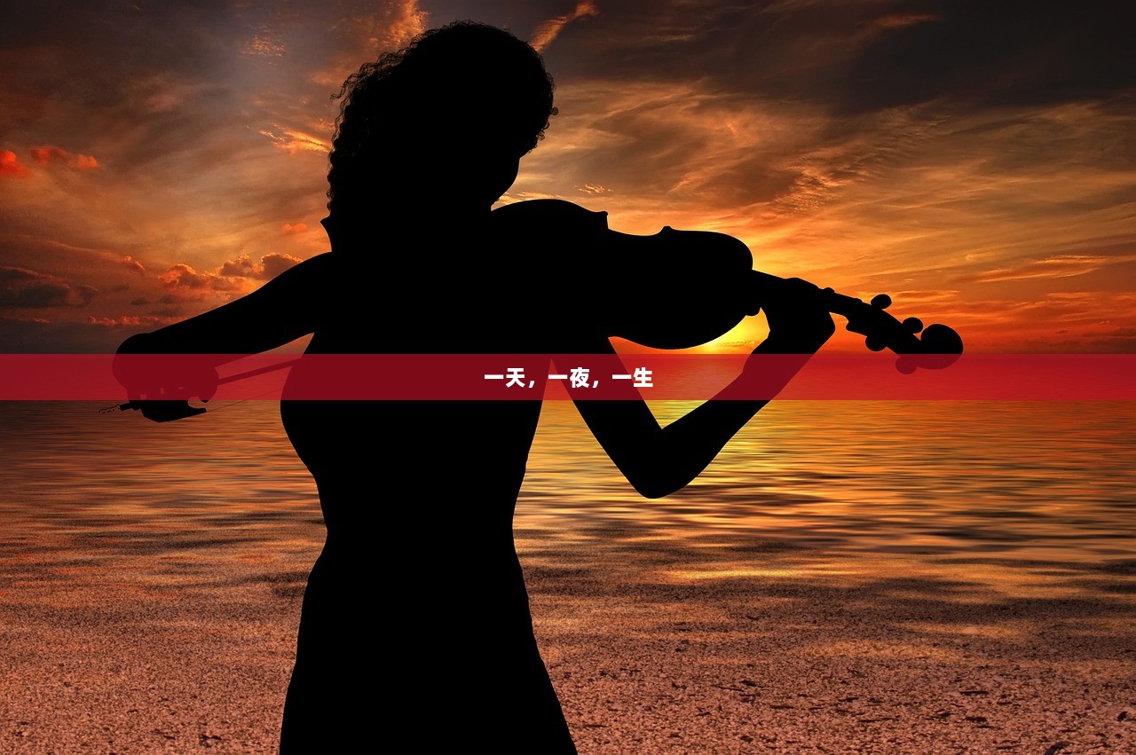 一天，一夜，一生  第1张