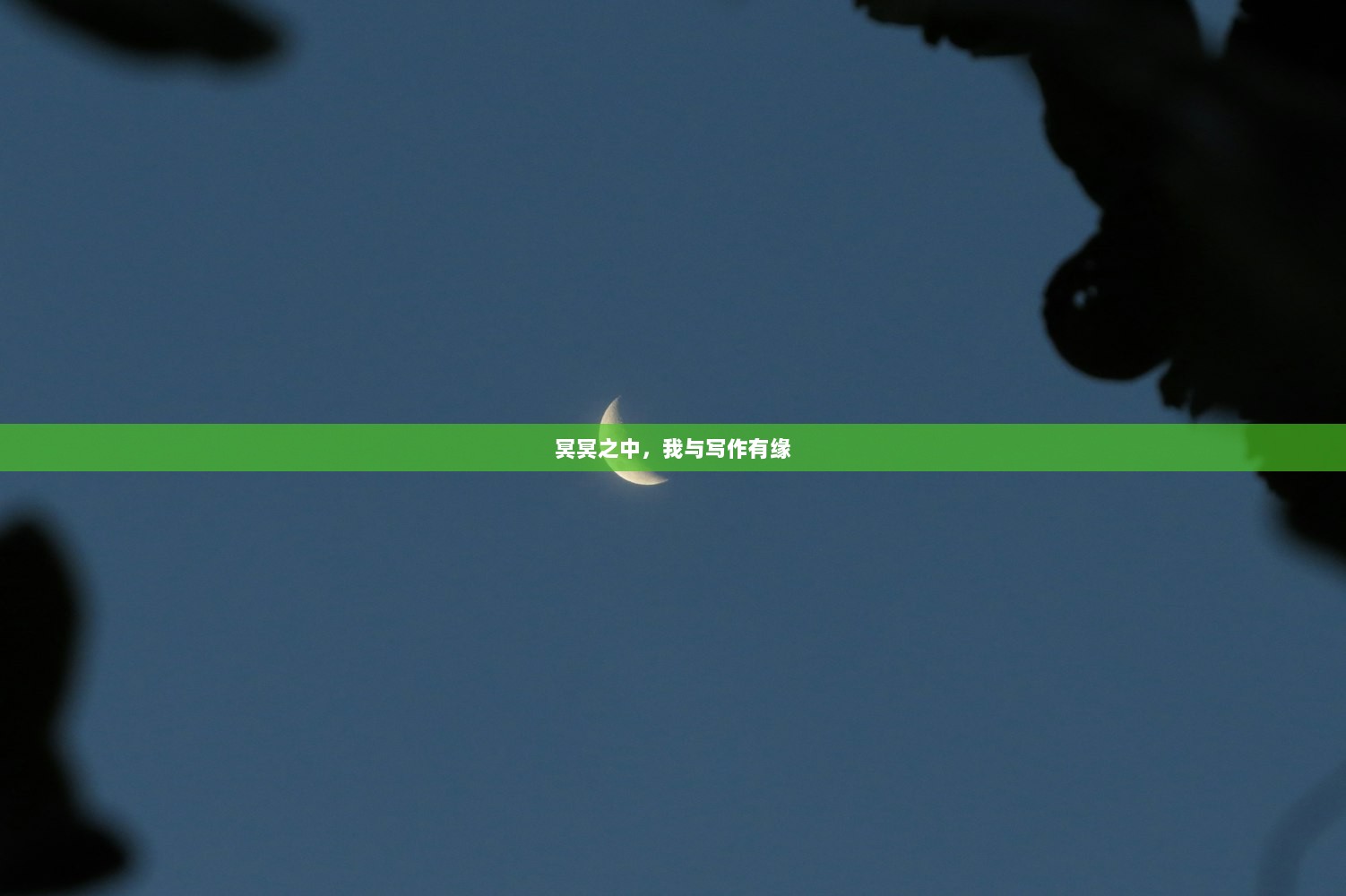 冥冥之中，我与写作有缘