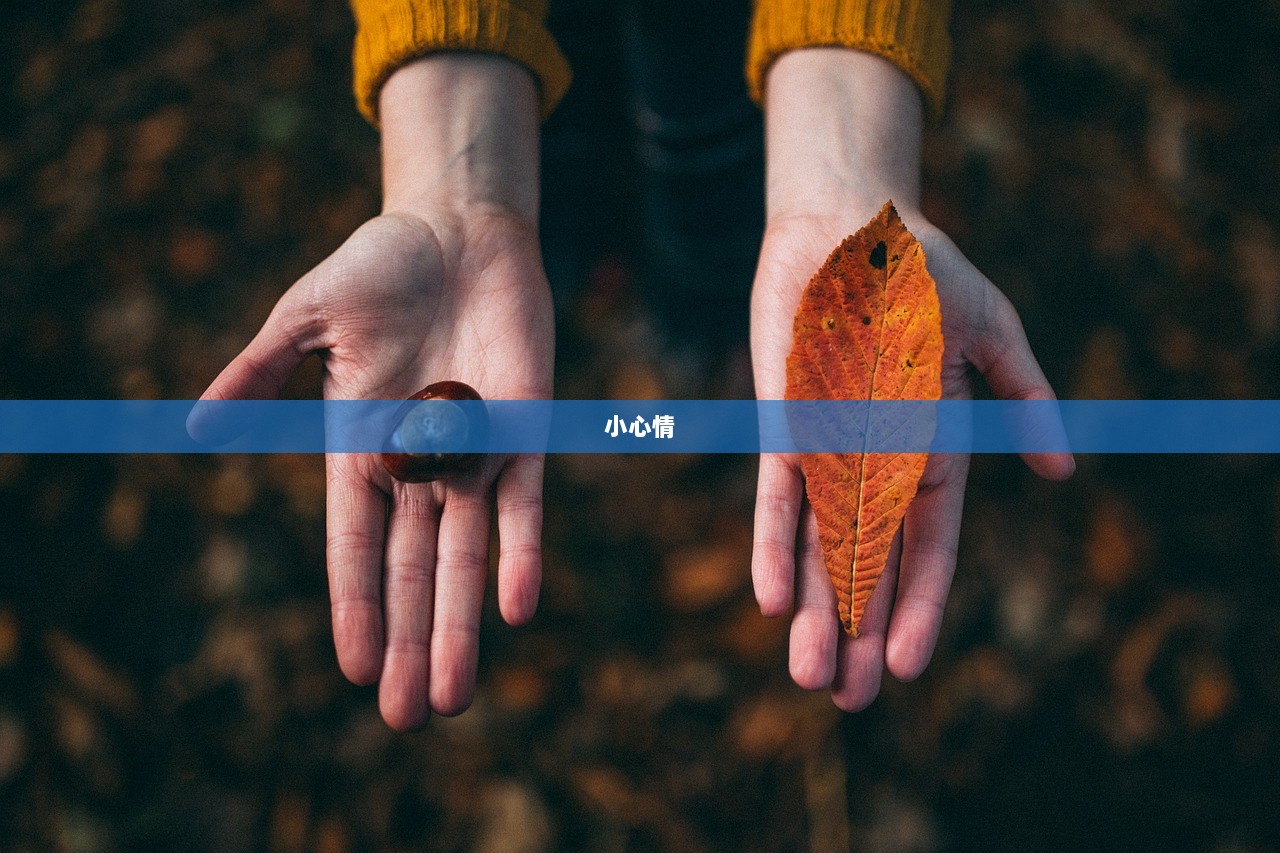 小心情