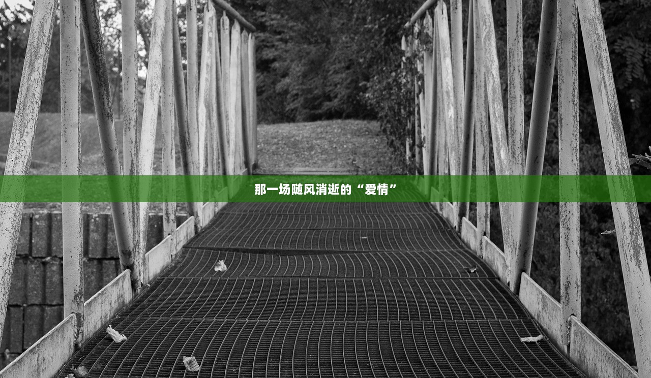 那一场随风消逝的“爱情”