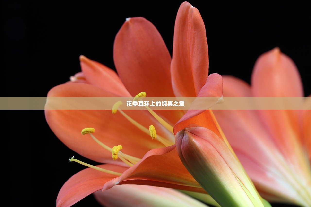 花季耳环上的纯真之爱