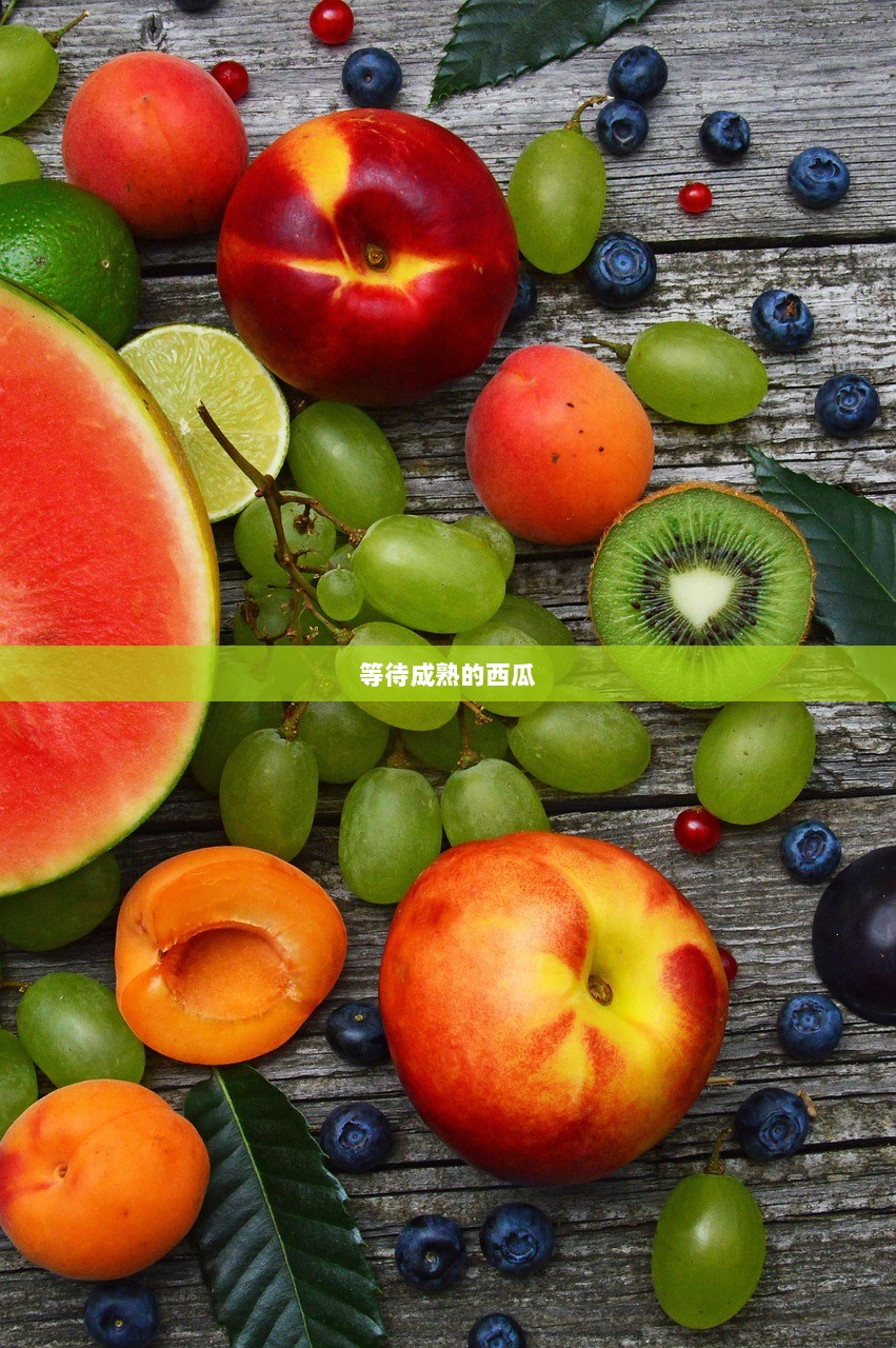 等待成熟的西瓜  第1张