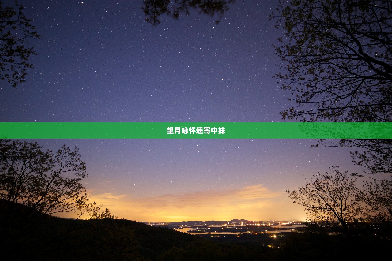 望月咏怀遥寄中妹