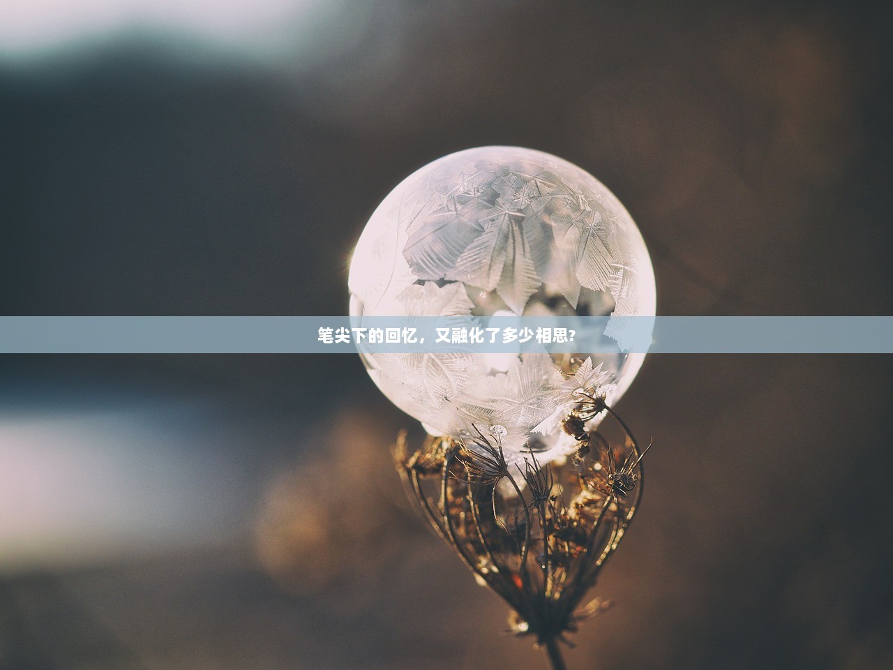 笔尖下的回忆,又融化了多少相思? 第1张 笔尖下的回忆,又融化了多少相思? 第1张