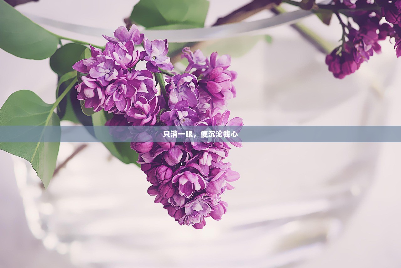 只消一眼，便沉沦我心