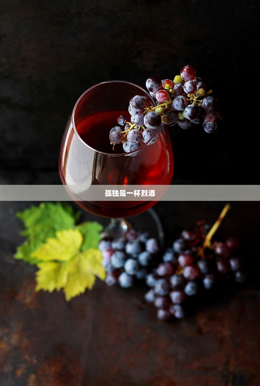 孤独是一杯烈酒