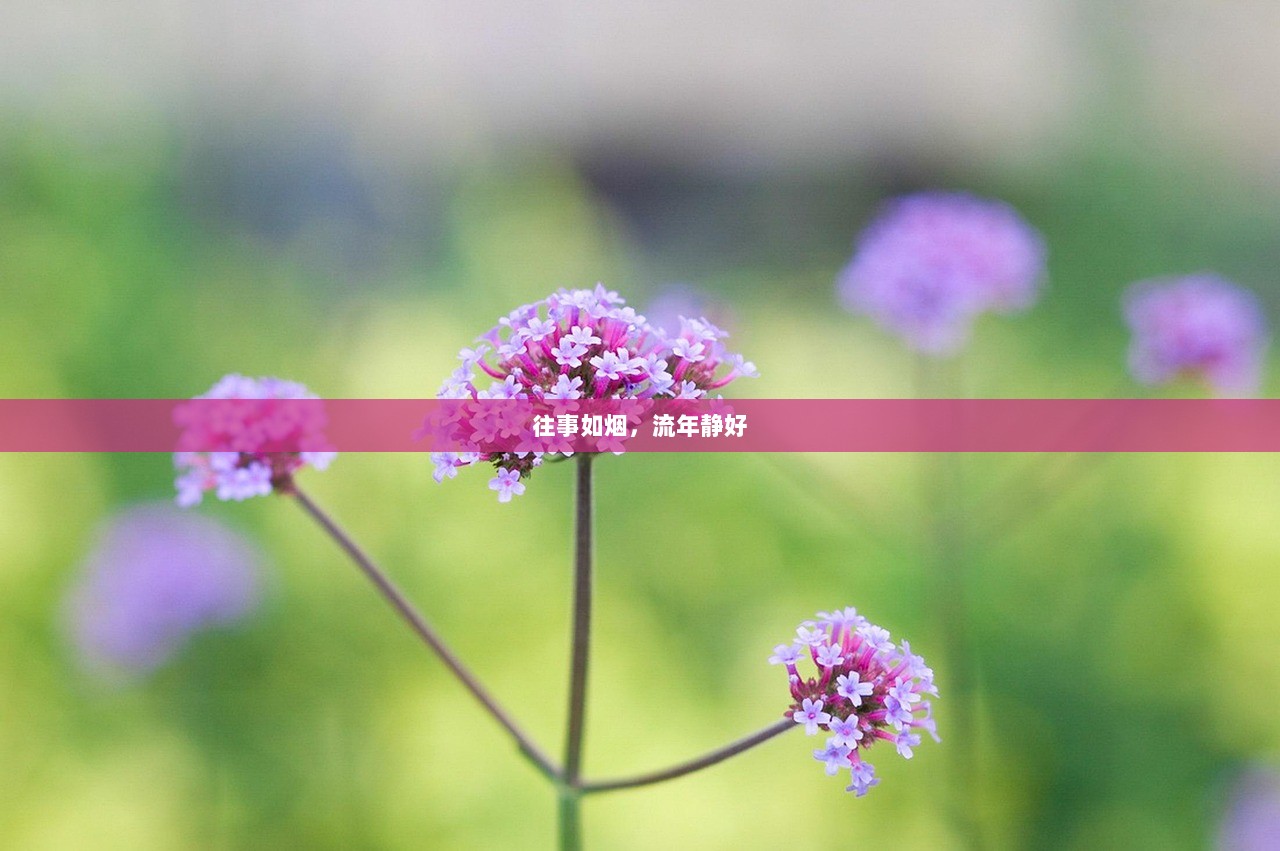 往事如烟，流年静好