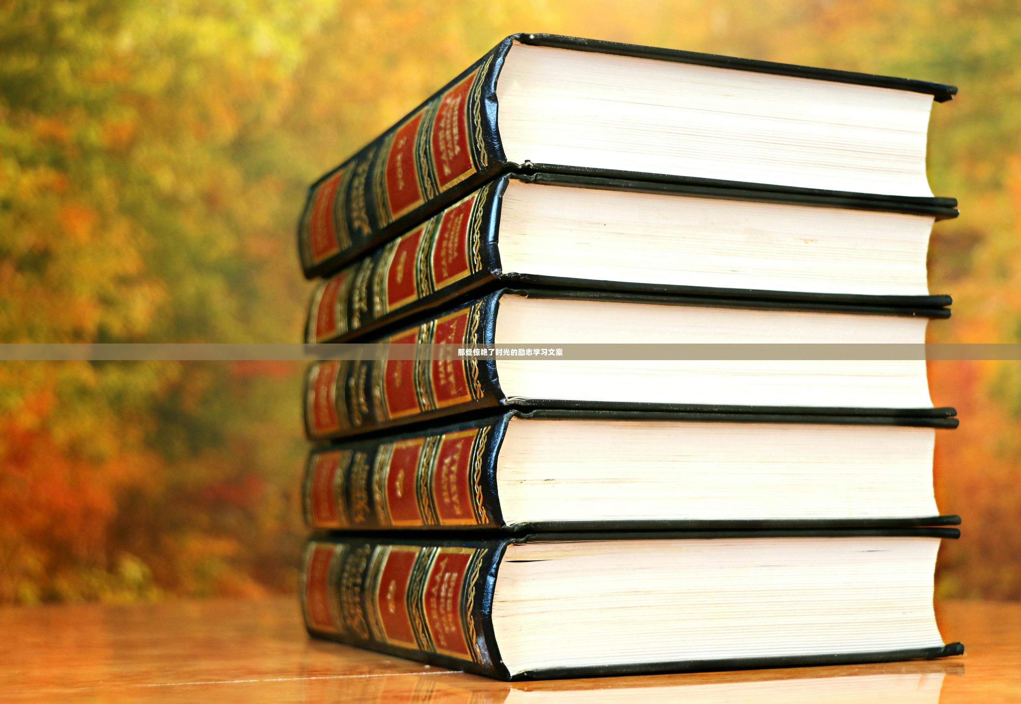 那些惊艳了时光的励志学习文案