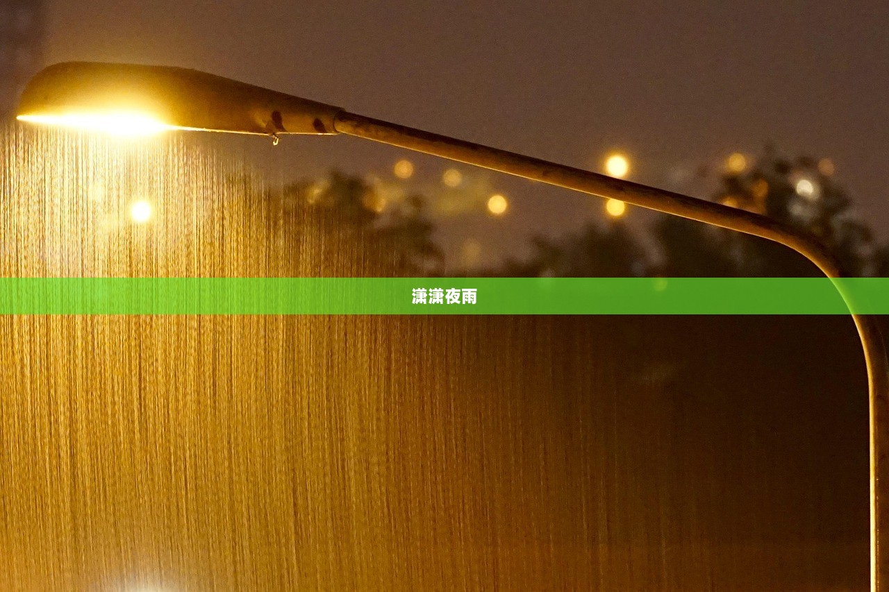 潇潇夜雨
