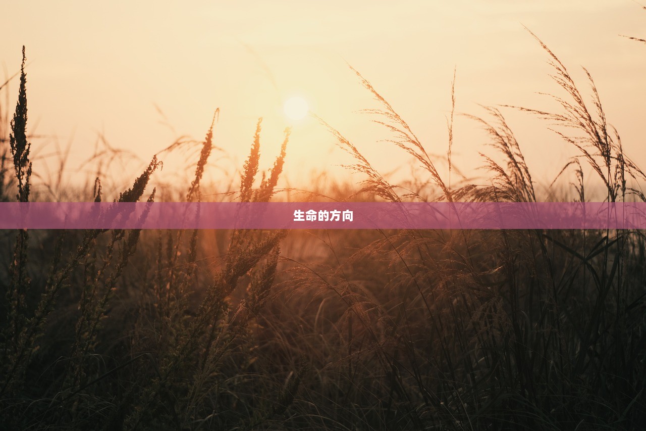 生命的方向