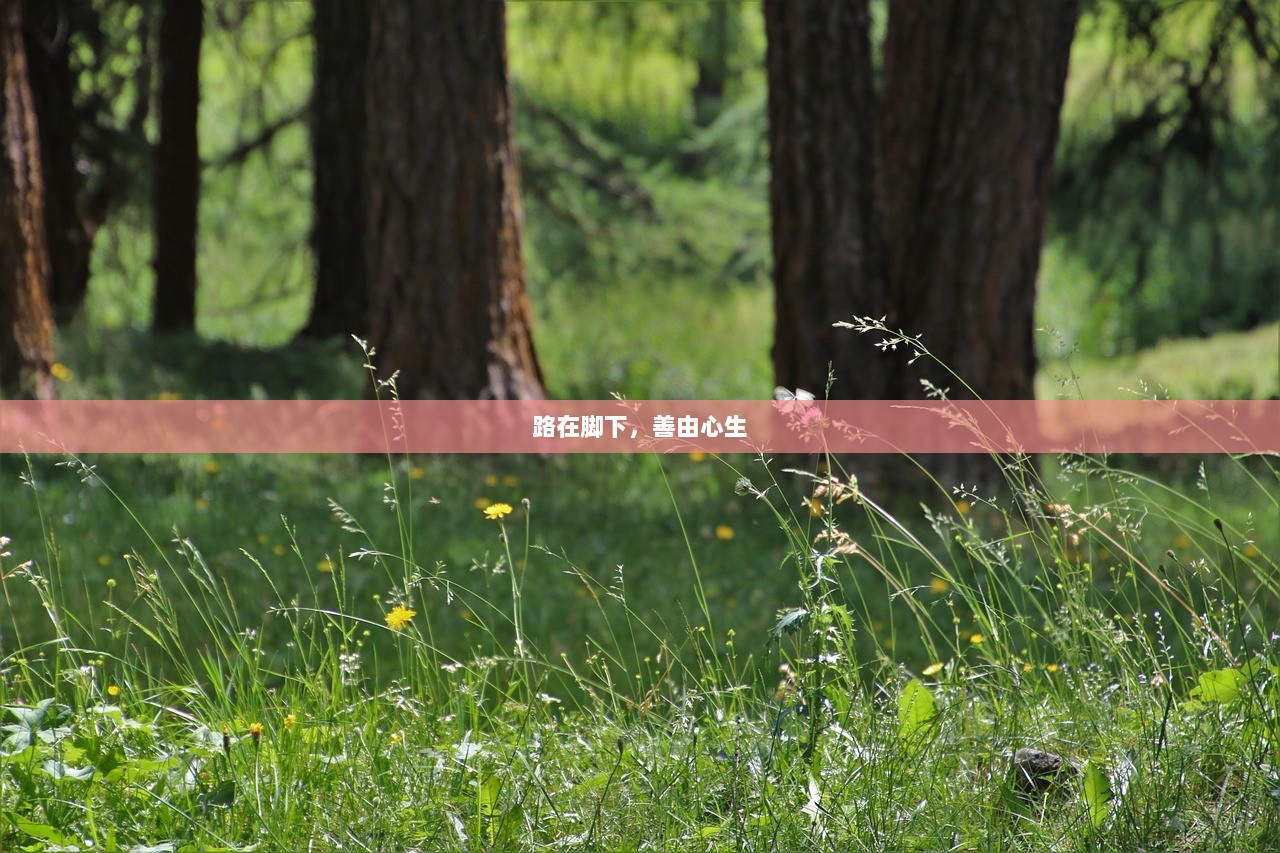 路在脚下，善由心生