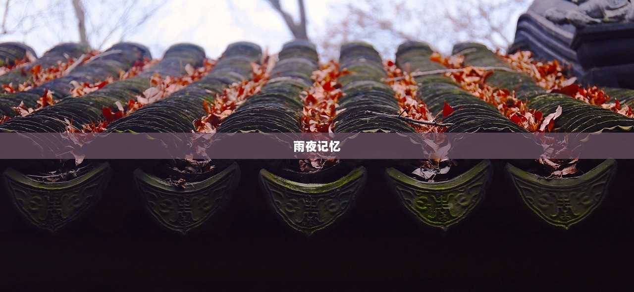 雨夜记忆