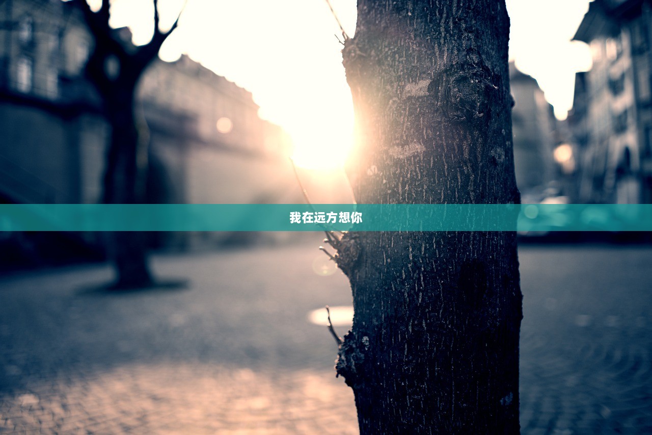 我在远方想你