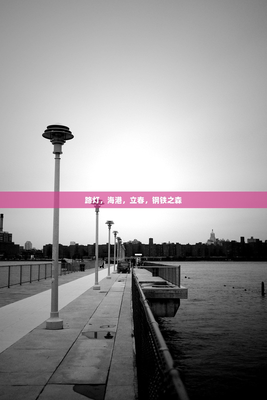 路灯，海港，立春，钢铁之森