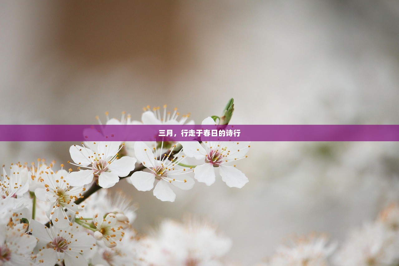 三月，行走于春日的诗行