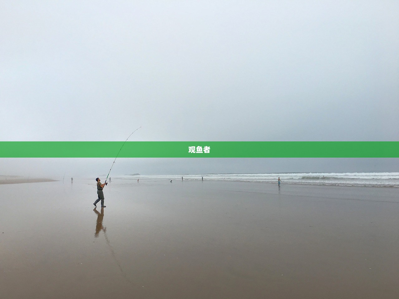 观鱼者