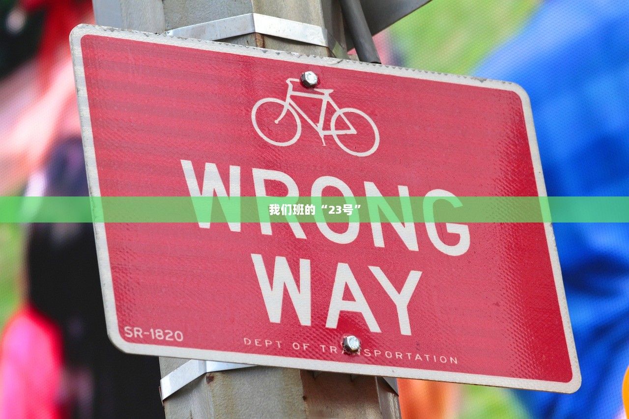 我们班的“23号”