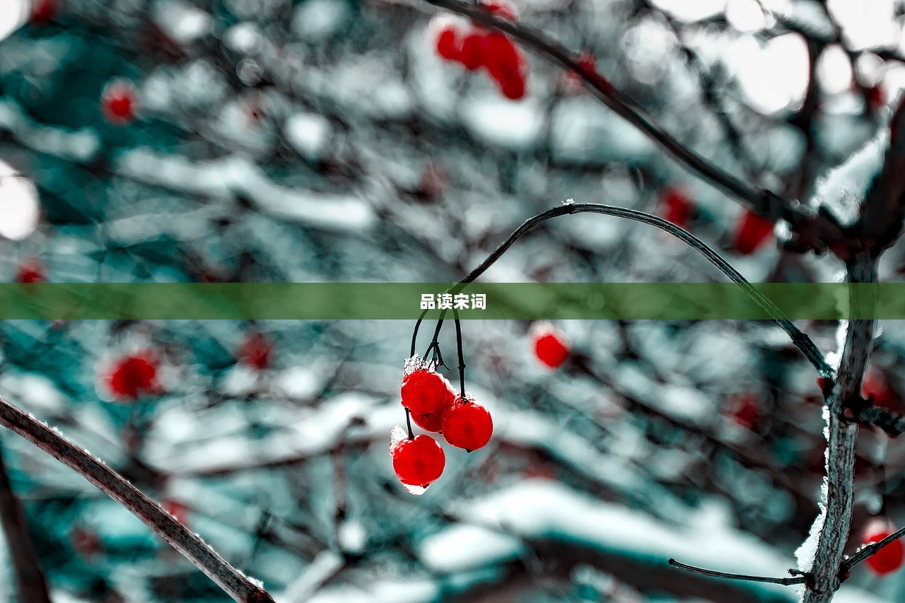 品读宋词