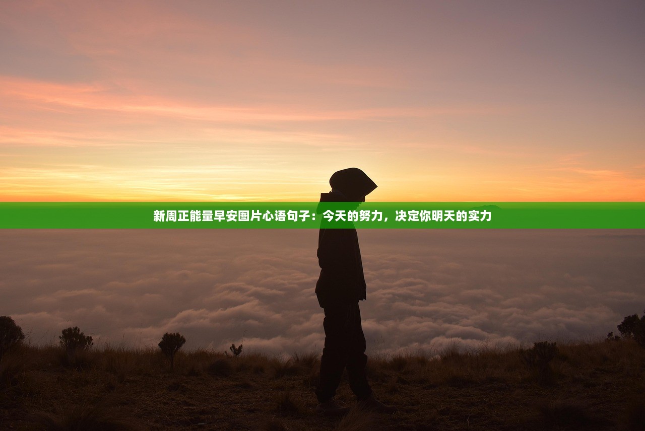 新周正能量早安图片心语句子：今天的努力，决定你明天的实力