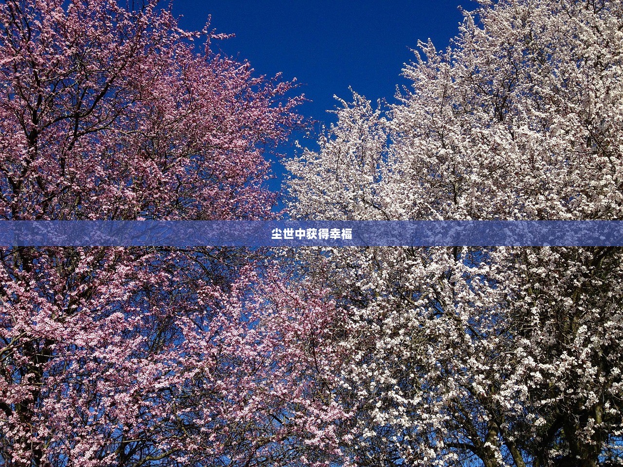 尘世中获得幸福