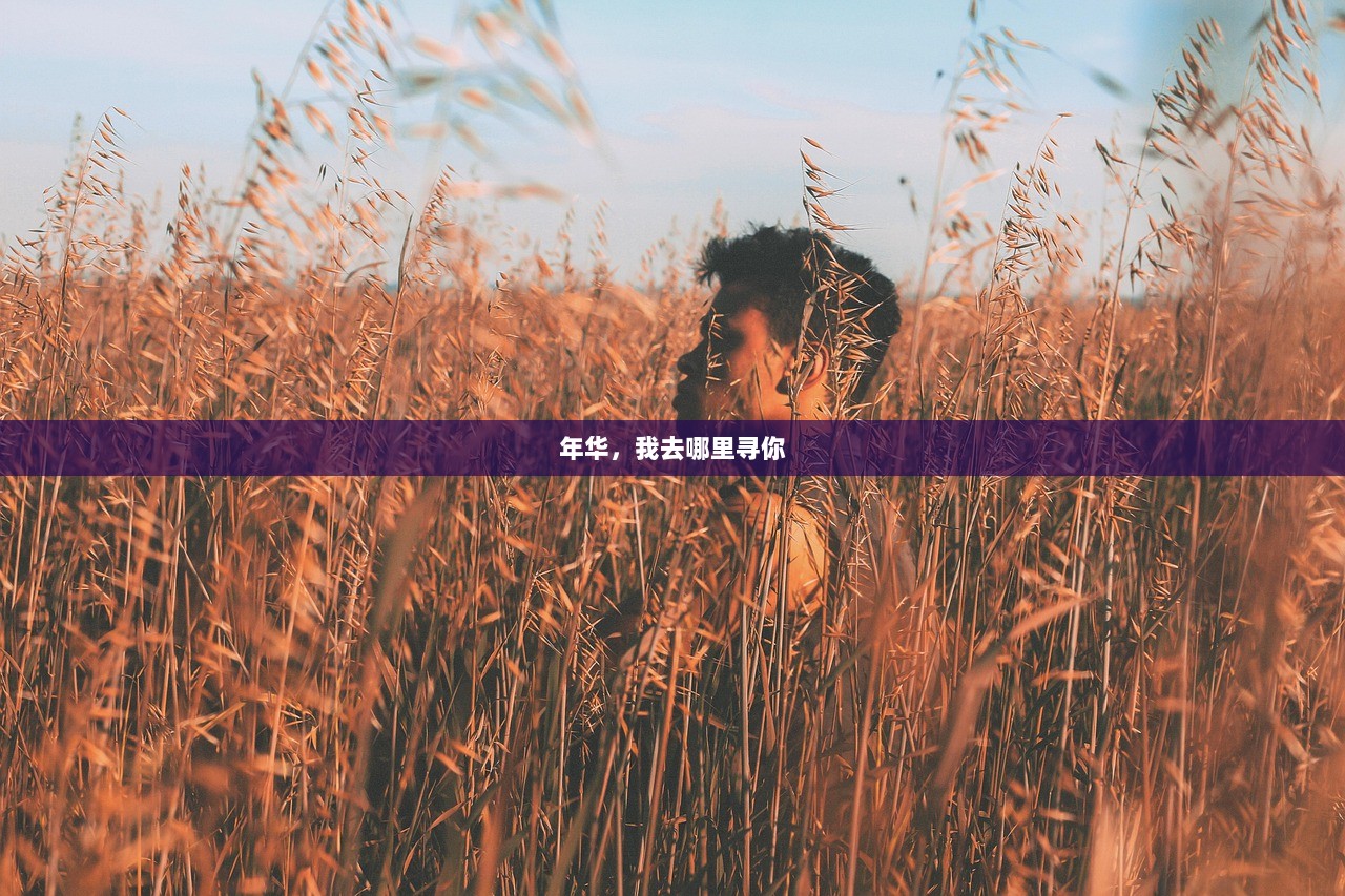 年华，我去哪里寻你