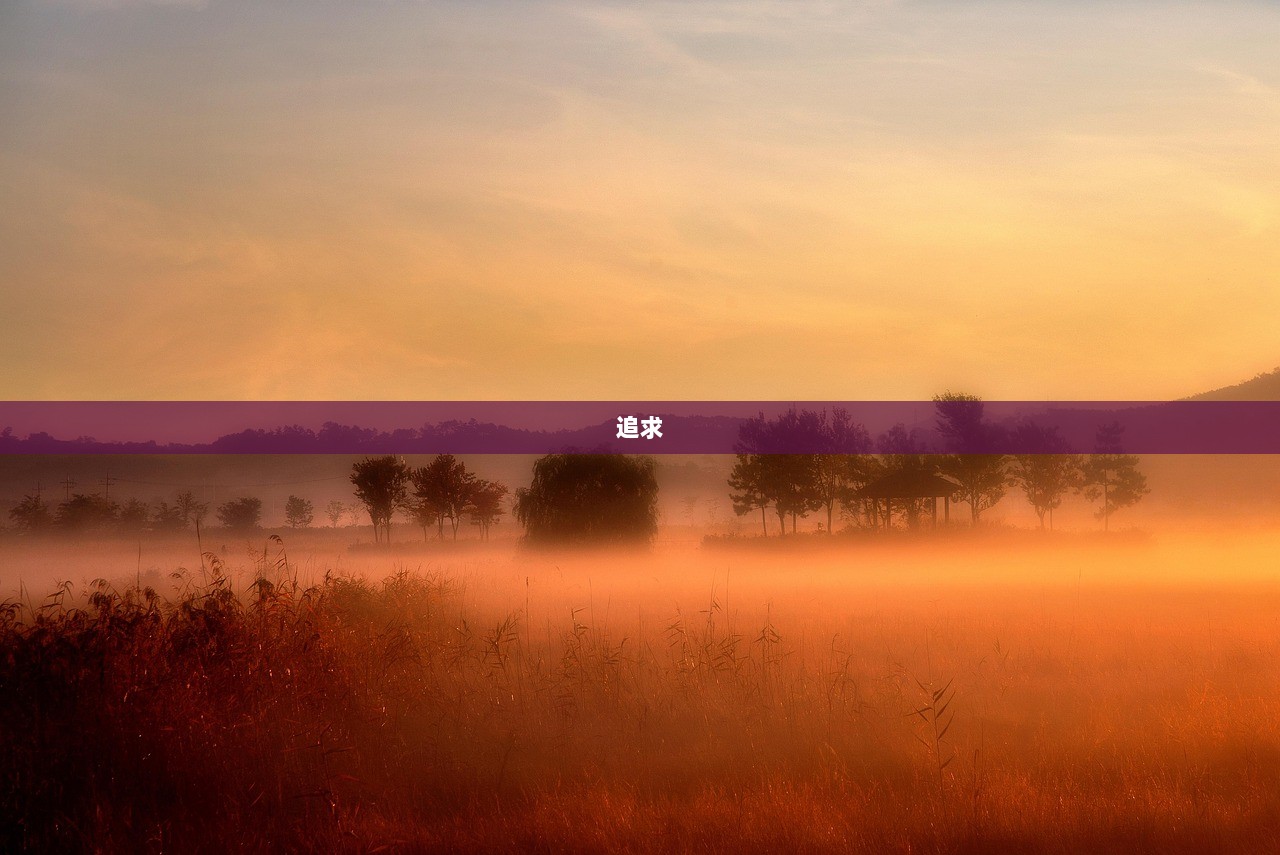 追求