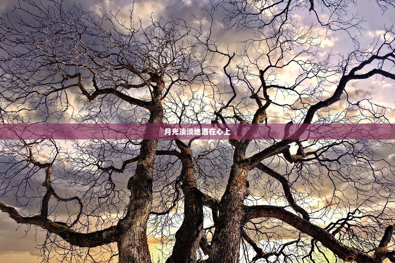 月光淡淡地洒在心上