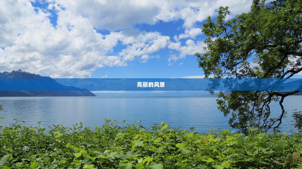 亮丽的风景