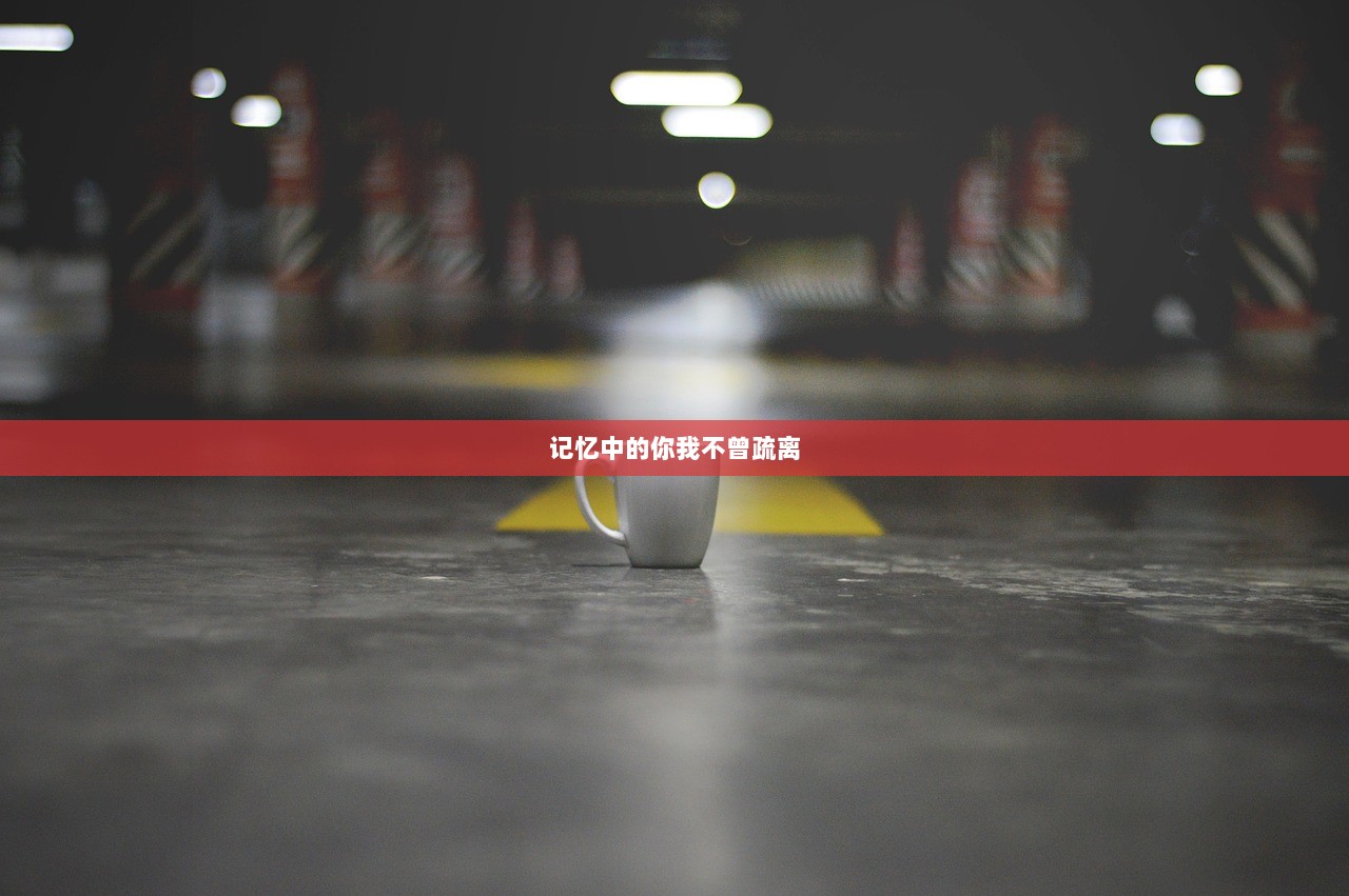 记忆中的你我不曾疏离