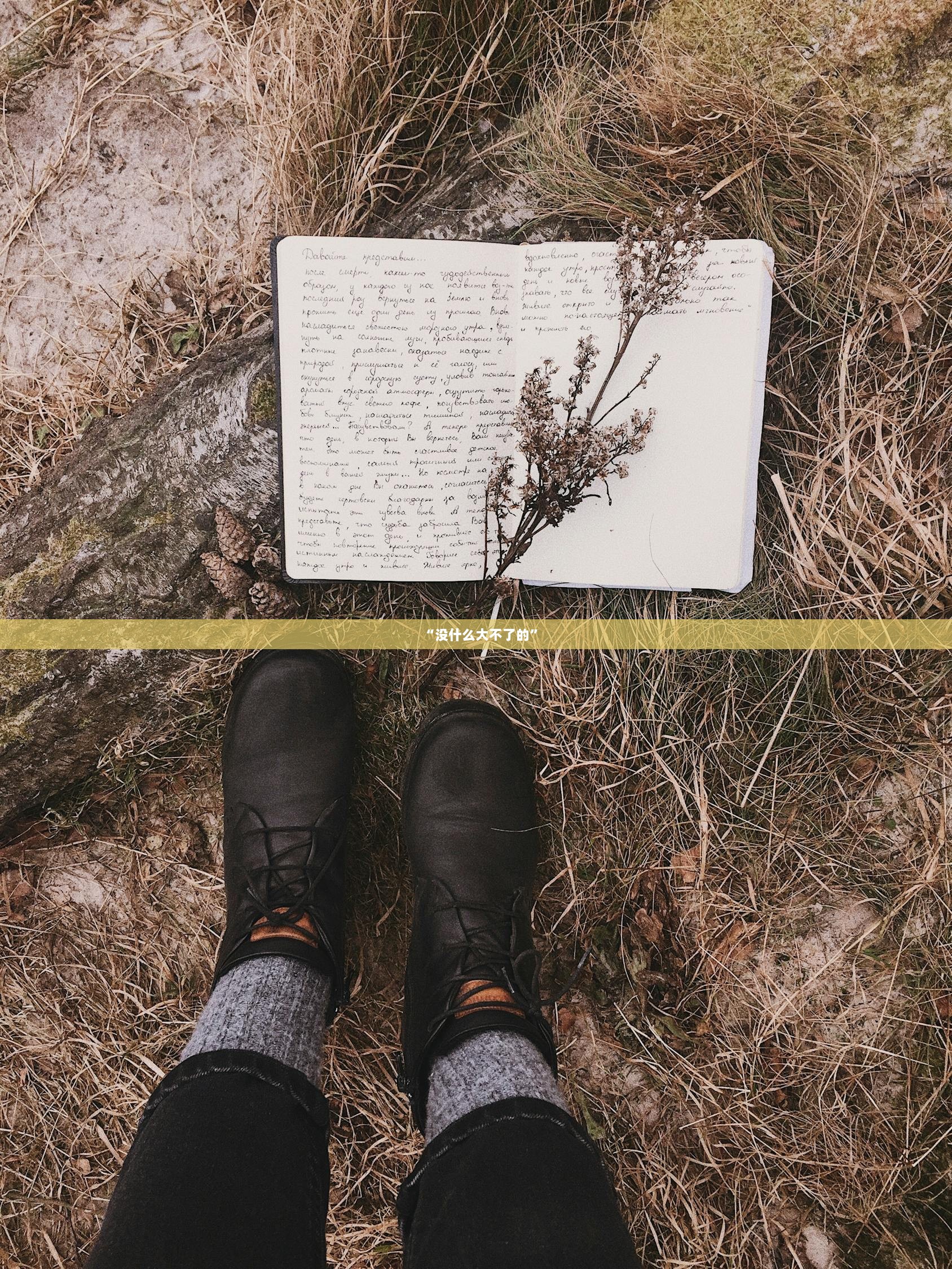 “没什么大不了的”  第1张