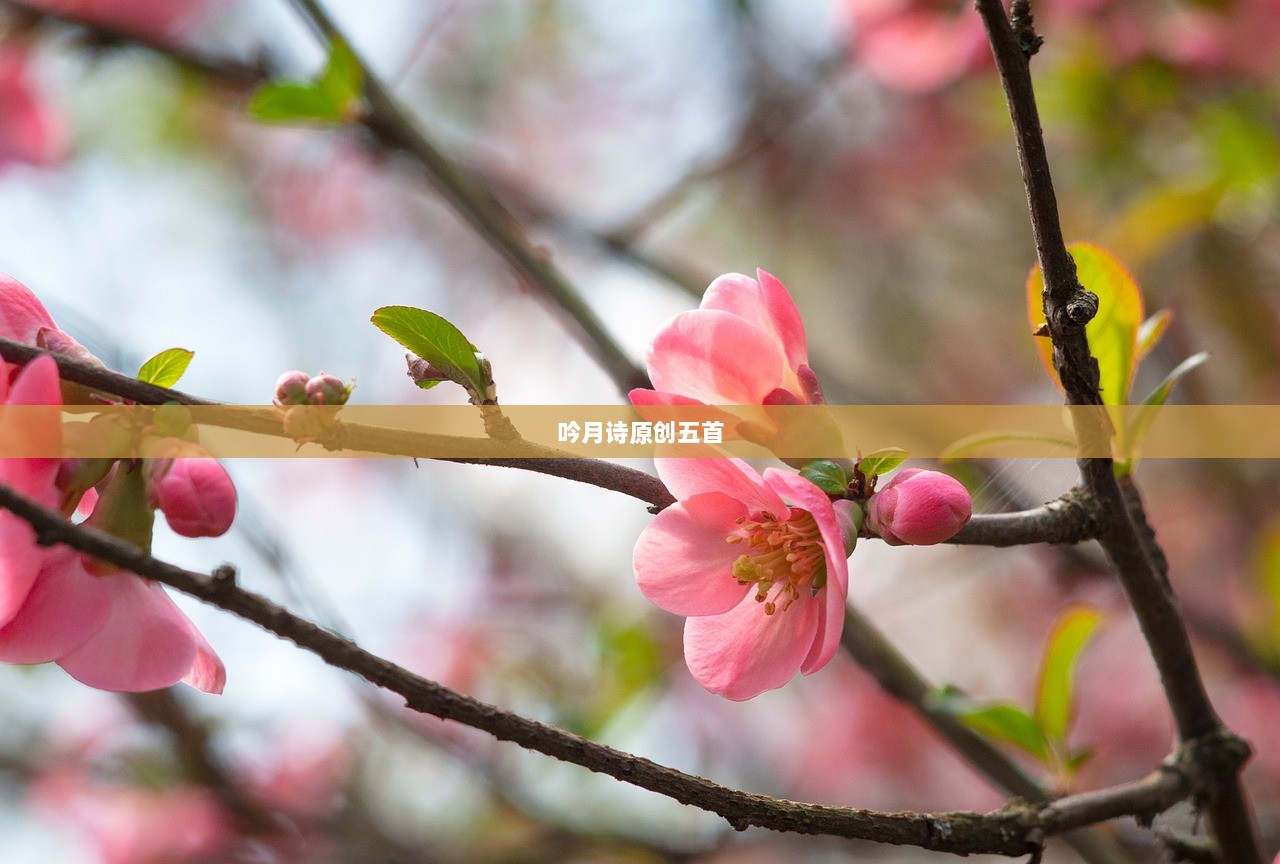 吟月诗原创五首