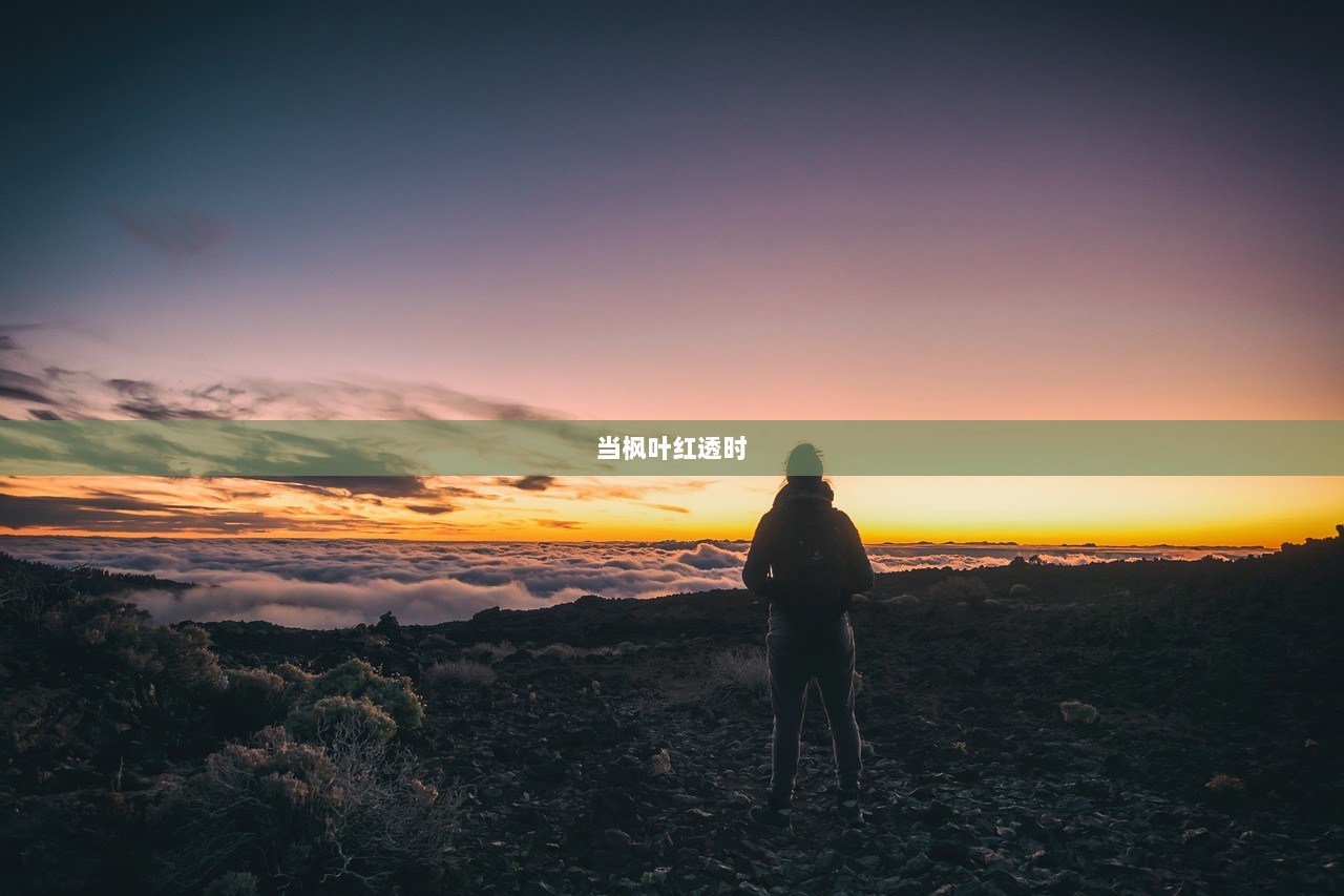 当枫叶红透时