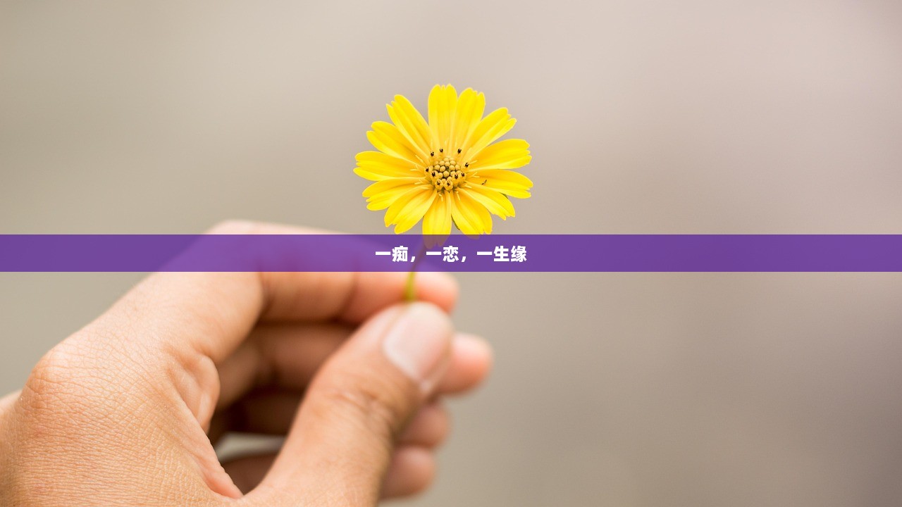 一痴，一恋，一生缘