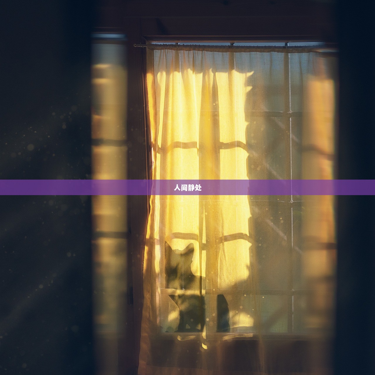 人间静处