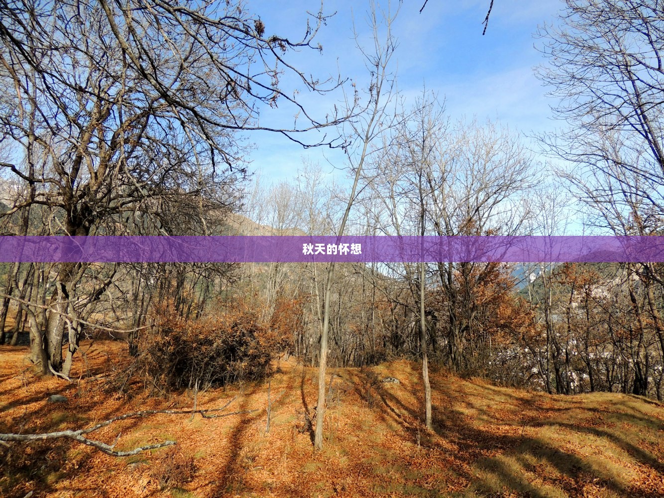 秋天的怀想