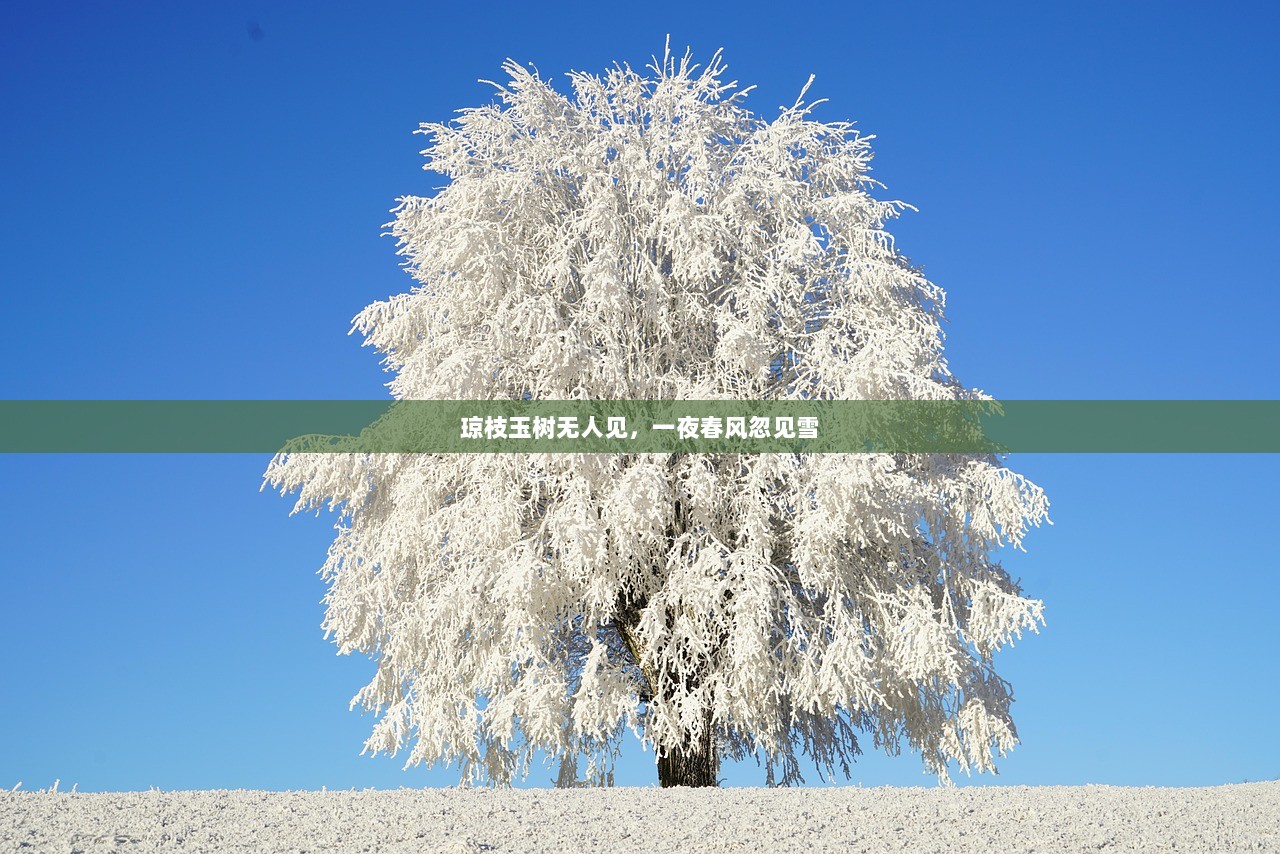 琼枝玉树无人见，一夜春风忽见雪