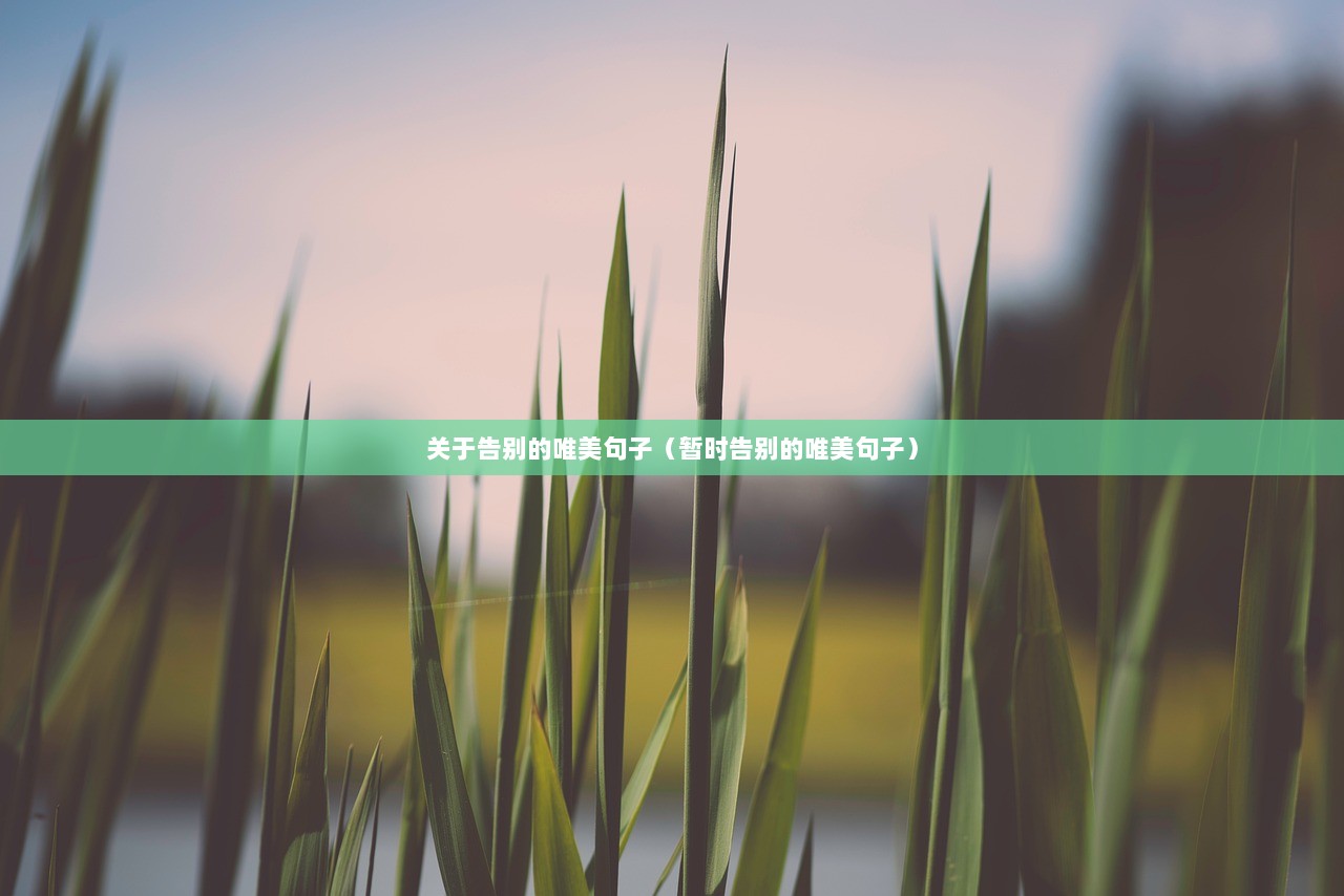 关于告别的唯美句子（暂时告别的唯美句子）  第1张