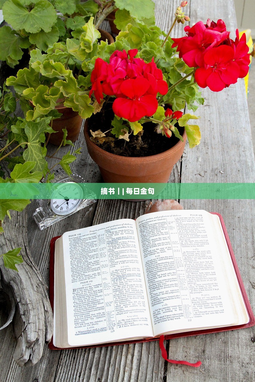 摘书｜| 每日金句