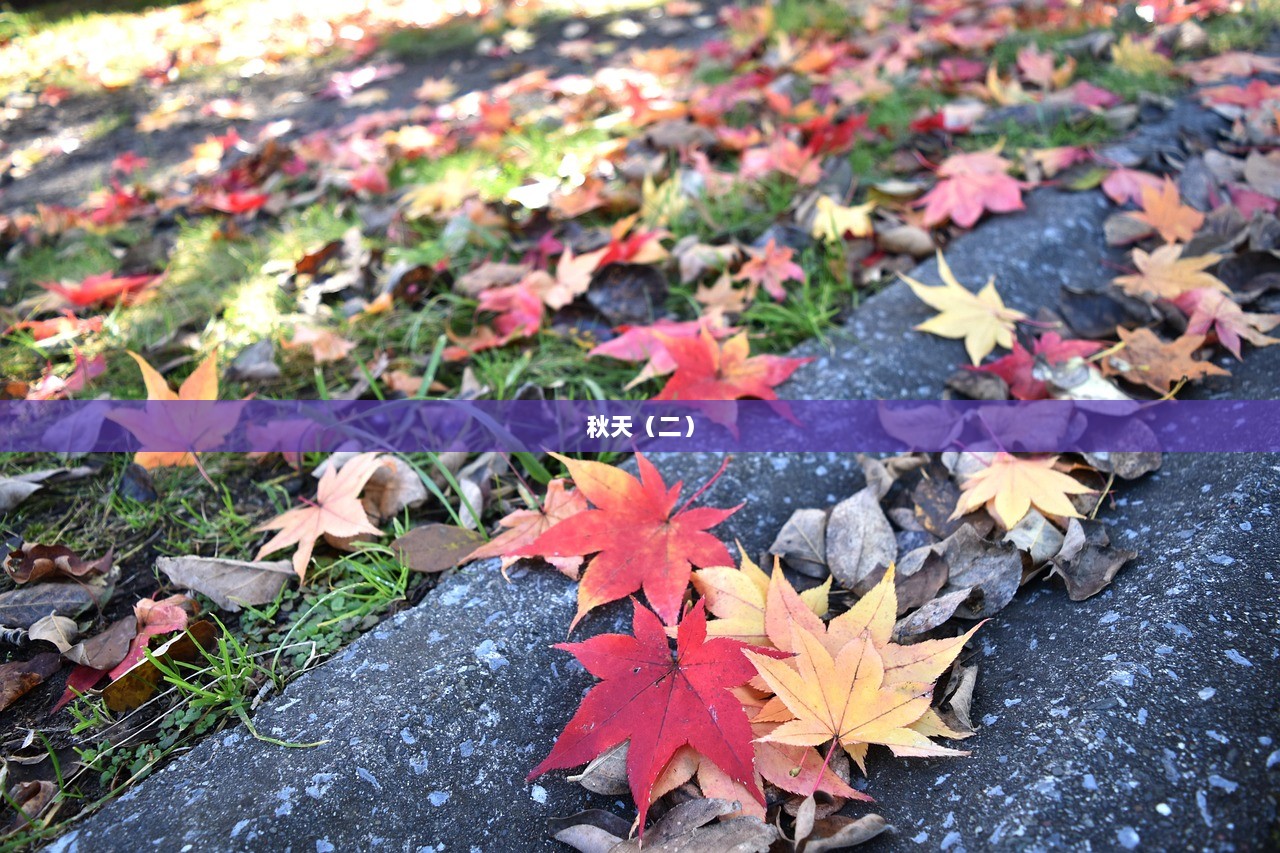 秋天（二）