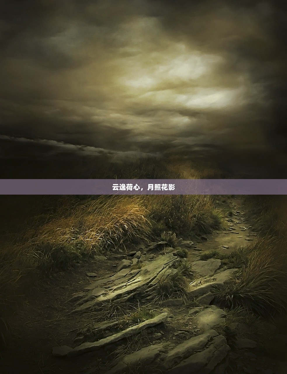 云逸荷心，月照花影