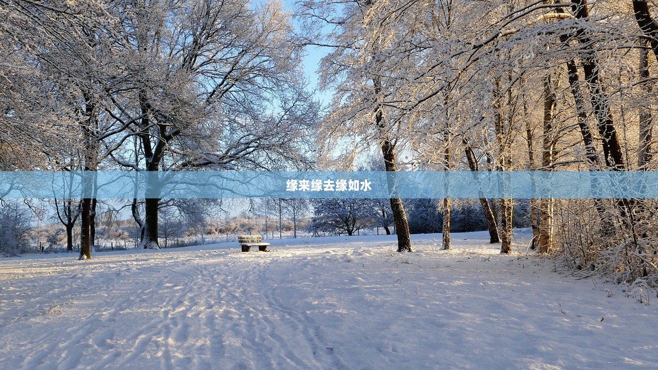 缘来缘去缘如水