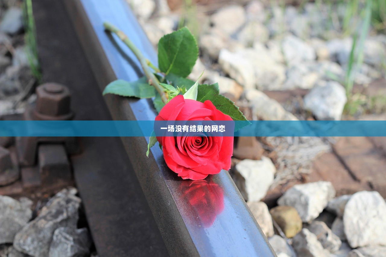 一场没有结果的网恋