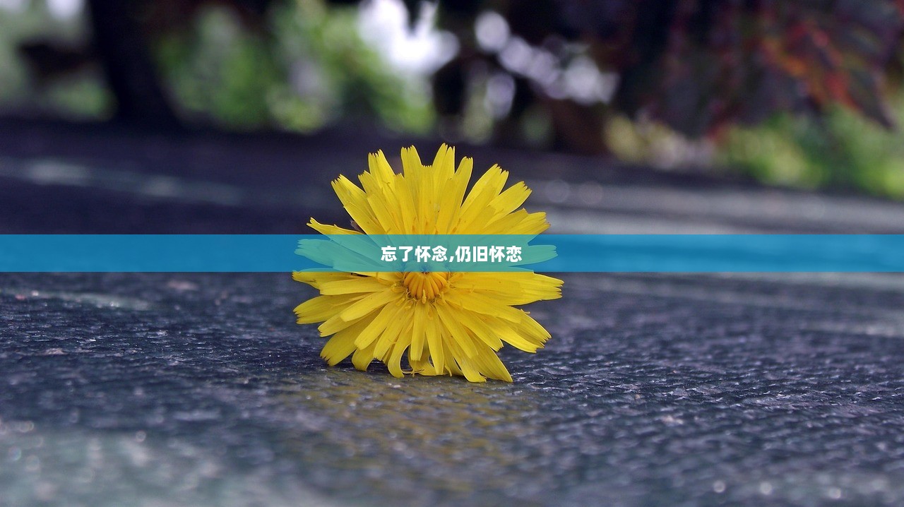 忘了怀念,仍旧怀恋