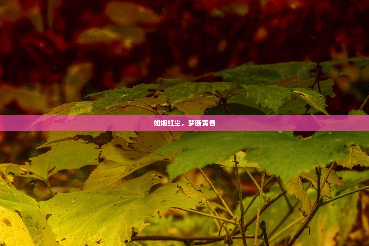 如烟红尘，梦断黄昏