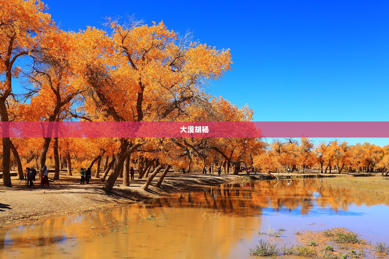 大漠胡杨