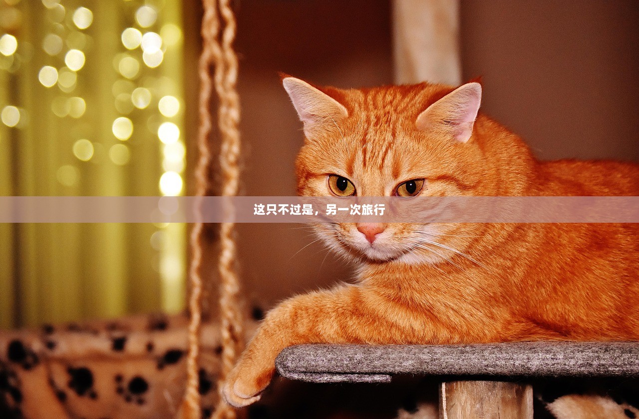 这只不过是，另一次旅行