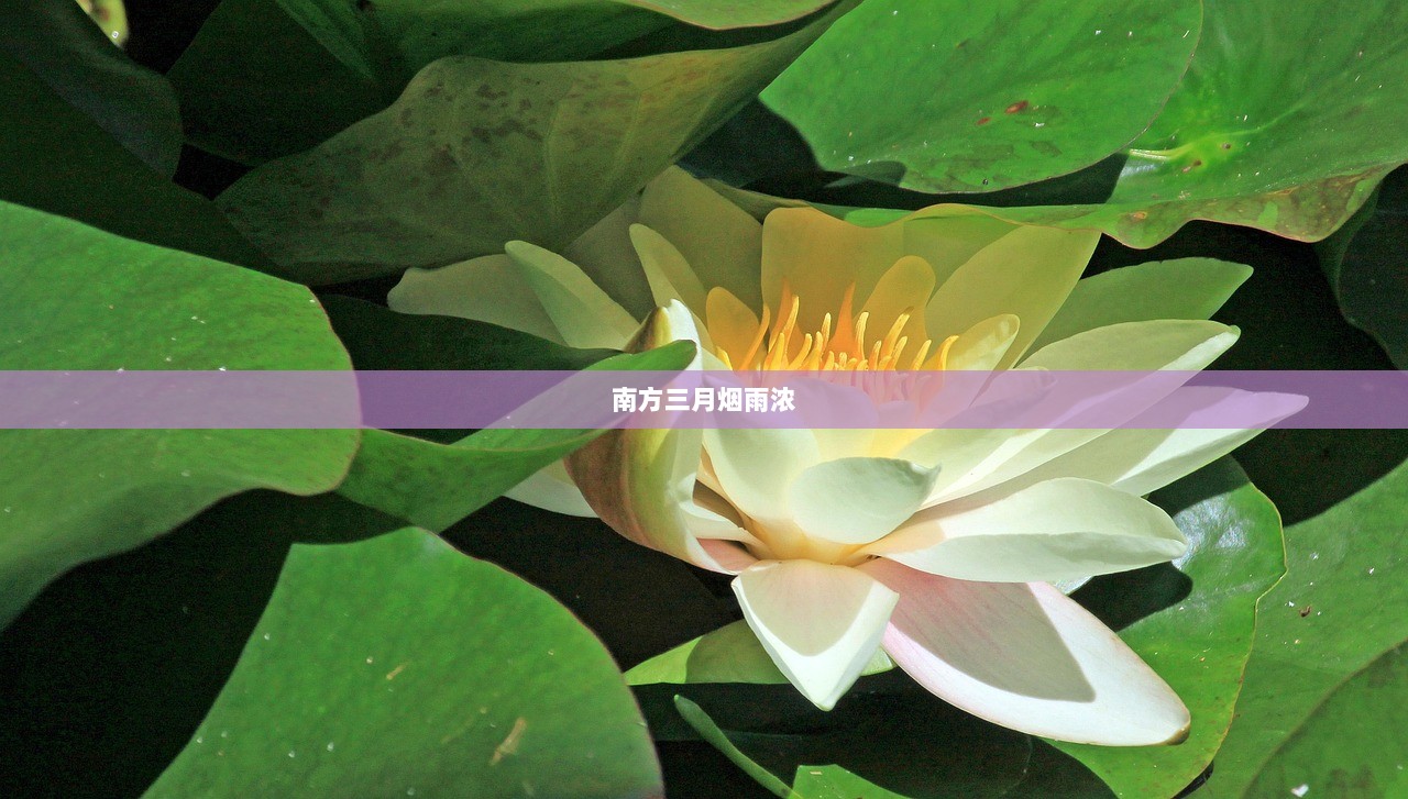 南方三月烟雨浓
