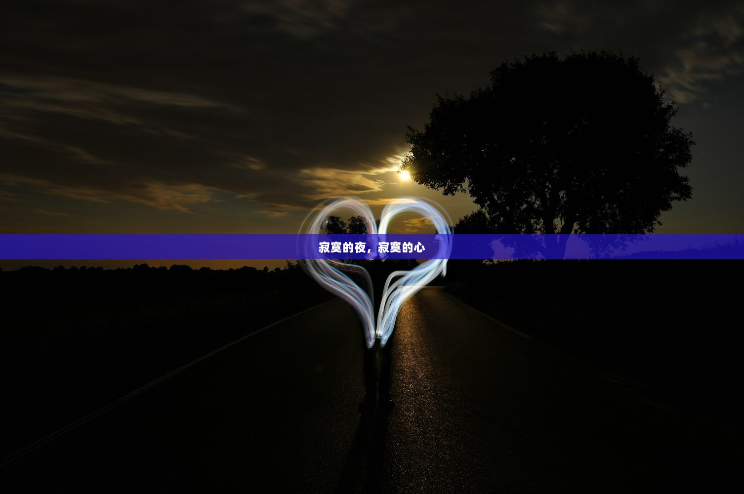 寂寞的夜，寂寞的心