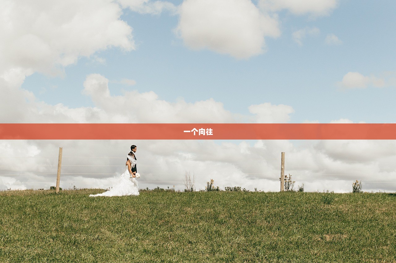 一个向往  第1张